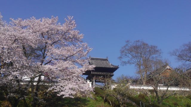 Sanmon gate offering an amazing view