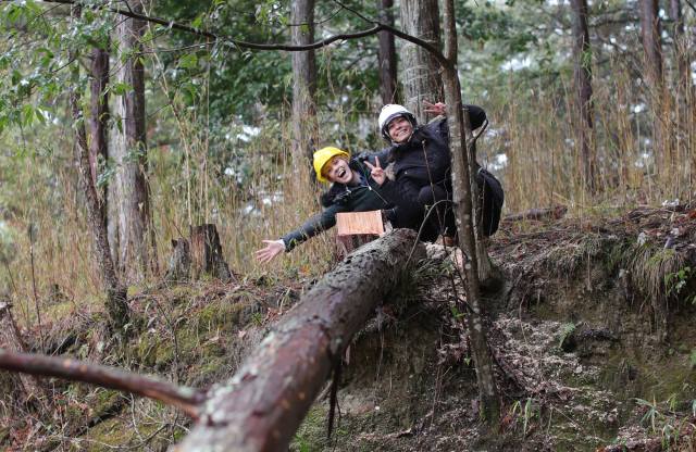 Felling a tree with a saw