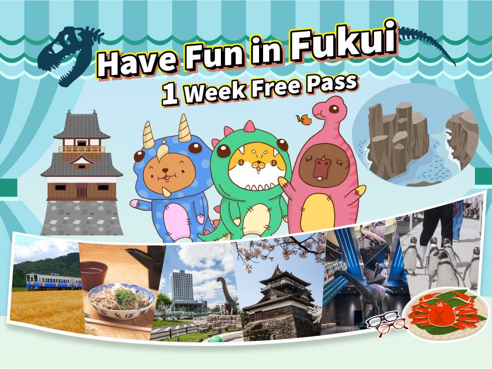 Have Fun In Fukui Pass