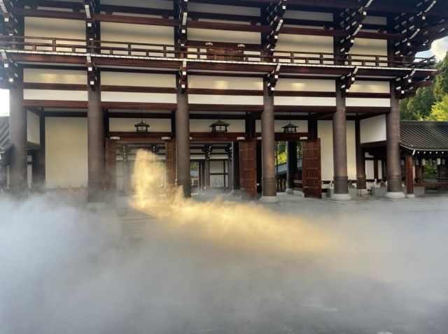 Daishizan Seidaiji Temple Echizen Great Buddha &amp; Sea of Clouds Special Viewing
Katsuyama DMO