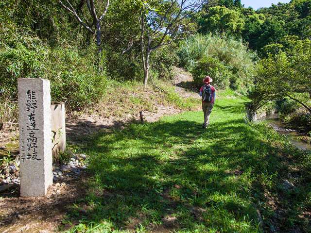 世界遺産＆日本遺産を体感　ガイドと歩く・熊野古道高野坂