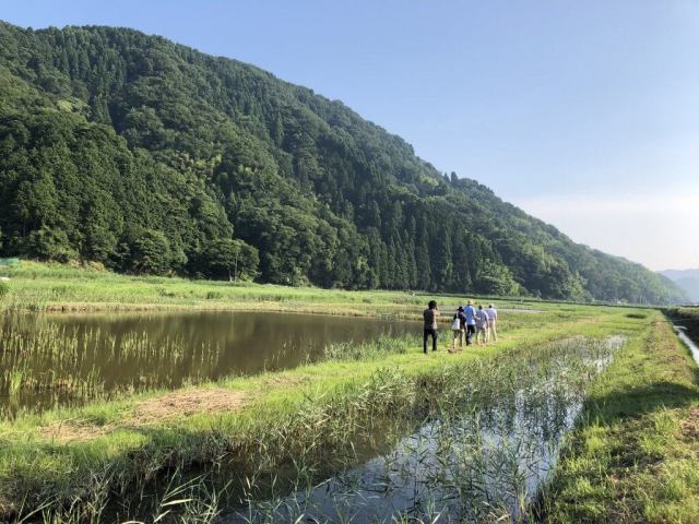 Leisurely stroll through Hachigoro's Tojima Wetland