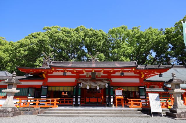 Location: Kumano Hayatama Taisha Grand Shrine
写真提供：公益社団法人　和歌山県観光連盟