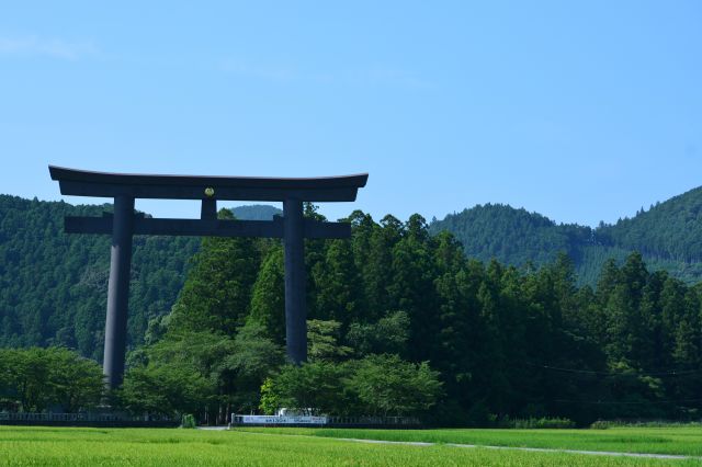 場所：大斎原（おおゆのはら）
写真提供：公益社団法人　和歌山県観光連盟