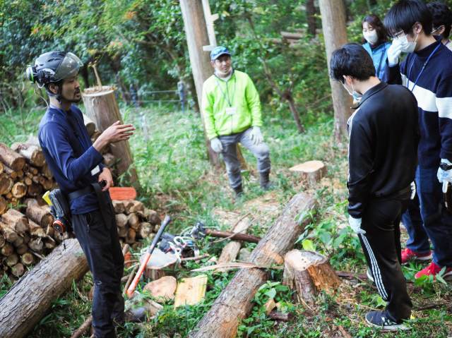 Mountain program—enter the mountains and learn about forestry