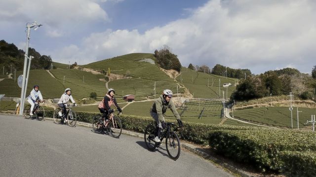 サイクリング中の風景
Copyright (c)2022 Ride with KYOTO推進会議