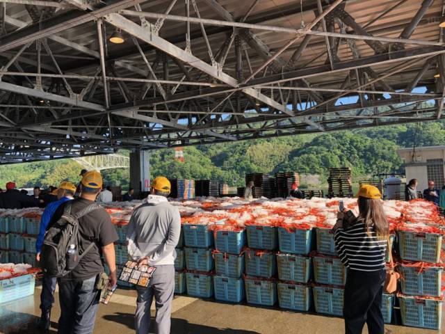 View fish unloading