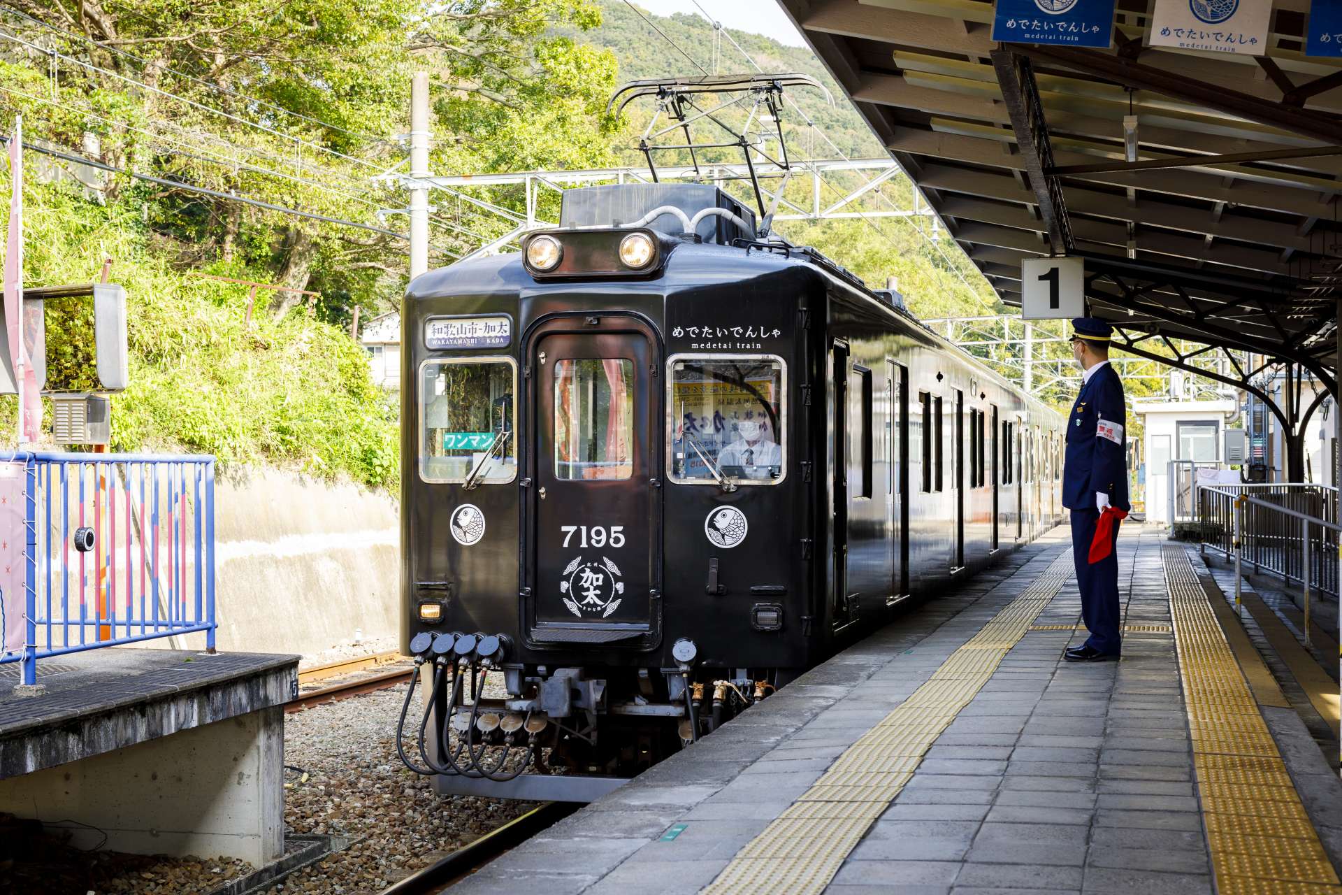 Nankai Electric Railway Sightseeing Train Medetai Densha Special Service