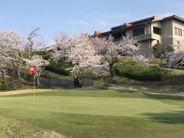桜の季節（2Hグリーンとクラブハウス）