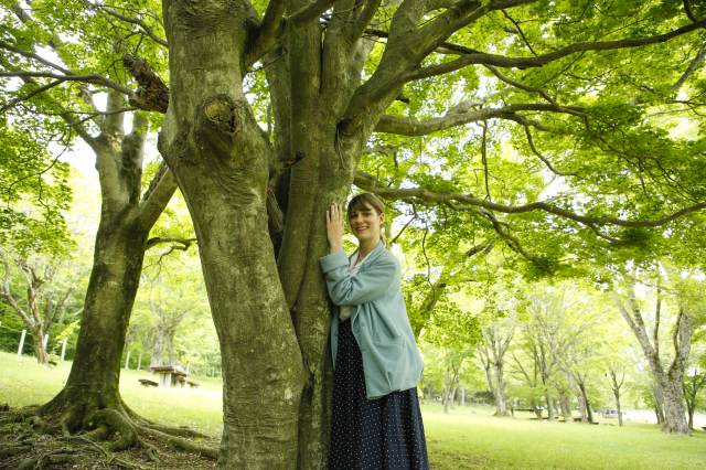 View of forest therapy