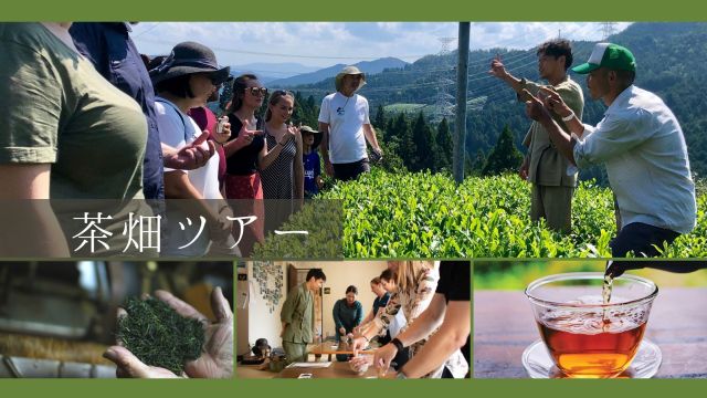 Guided Tea Tour of Kyoto Obubu Tea Farm