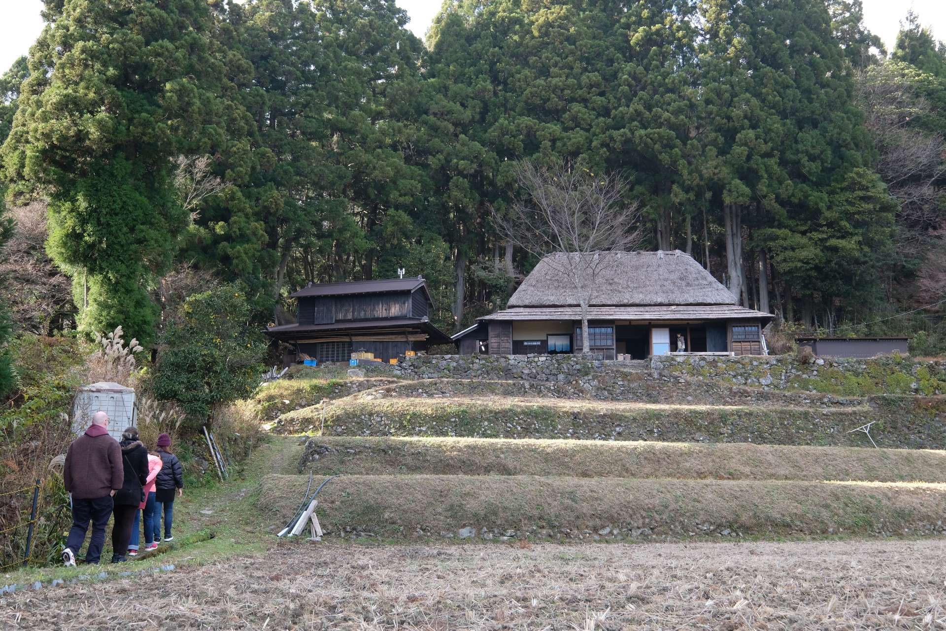 Yaeji Hanano Residence and Woodlands Tour: Experience the Living Legacy of Traditional Village Life and the Gifts of the Mountains