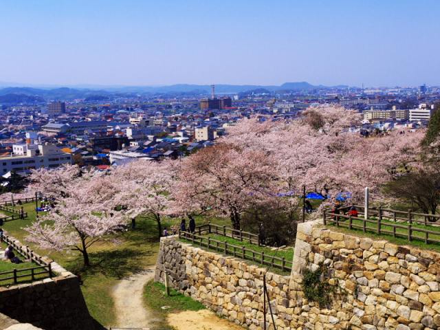 Ruins of Tottori Castle
（C）鳥取県