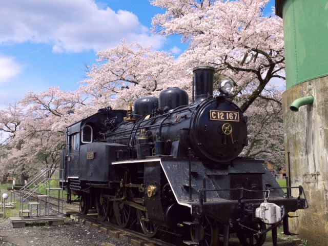 若桜鉄道の蒸気機関車
（C）鳥取県