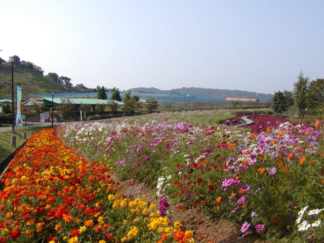 Tondabayashi City Agricultural Park Savorfarm