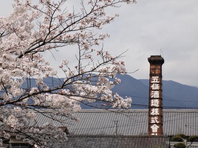 GOJOSHUZO “Goshin” sake/liqueur, “Anou” sake