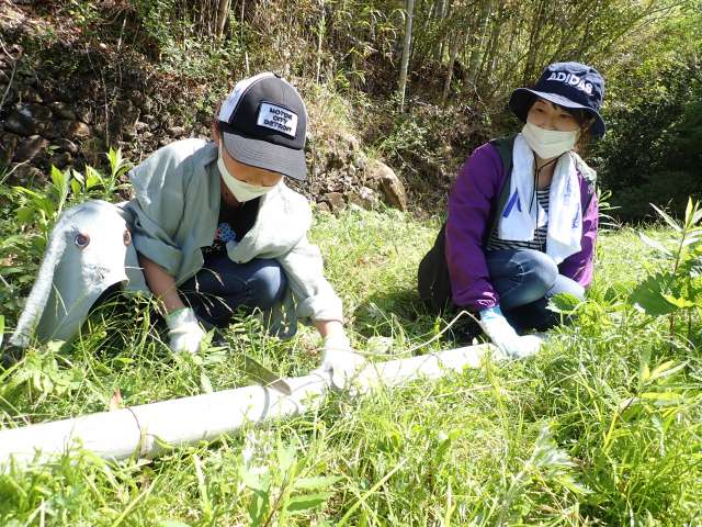Start the challenge by working together to cut down bamboo