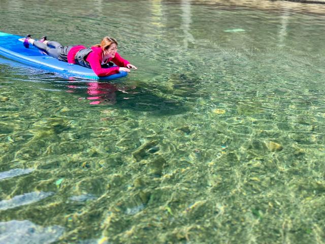 Clear visibility underwater