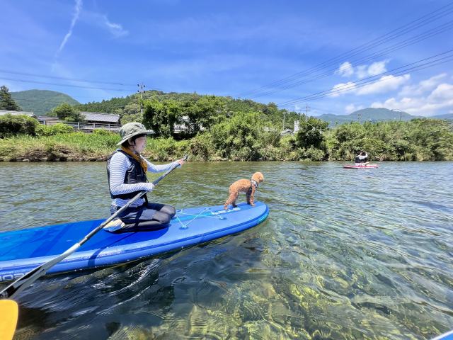 犬も一緒に体験できる