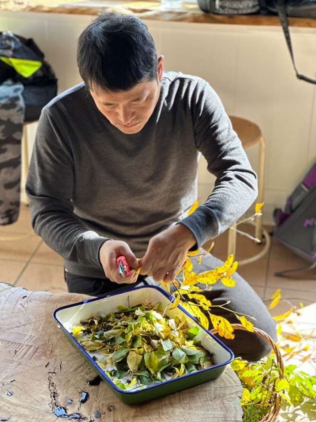 採集した野草をつかって自分だけのフレグランスをつくる蒸留体験