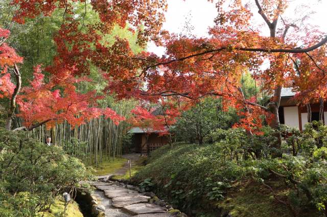 Shokado Garden: Autumn