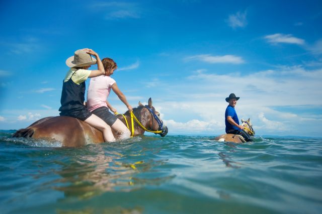 自然あふれる淡路島で馬に乗ろう！