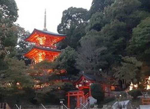 神戸・須磨寺　夜間特別拝観