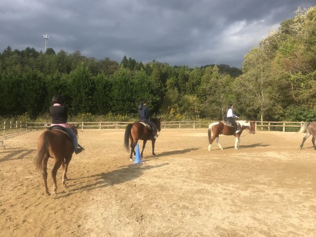 森の京都を乗馬でお散歩 レッスン付きホーストレッキング