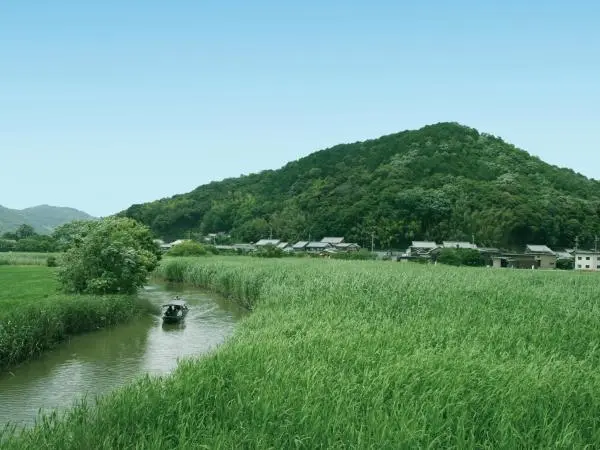 ヨシ原の迷路を手漕ぎ舟で行く水郷めぐり