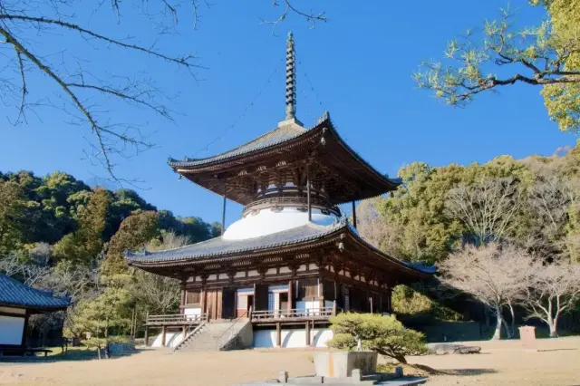 Negoroji Temple