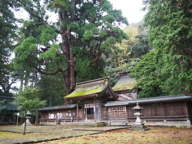 若狭姫神社・若狭彦神社