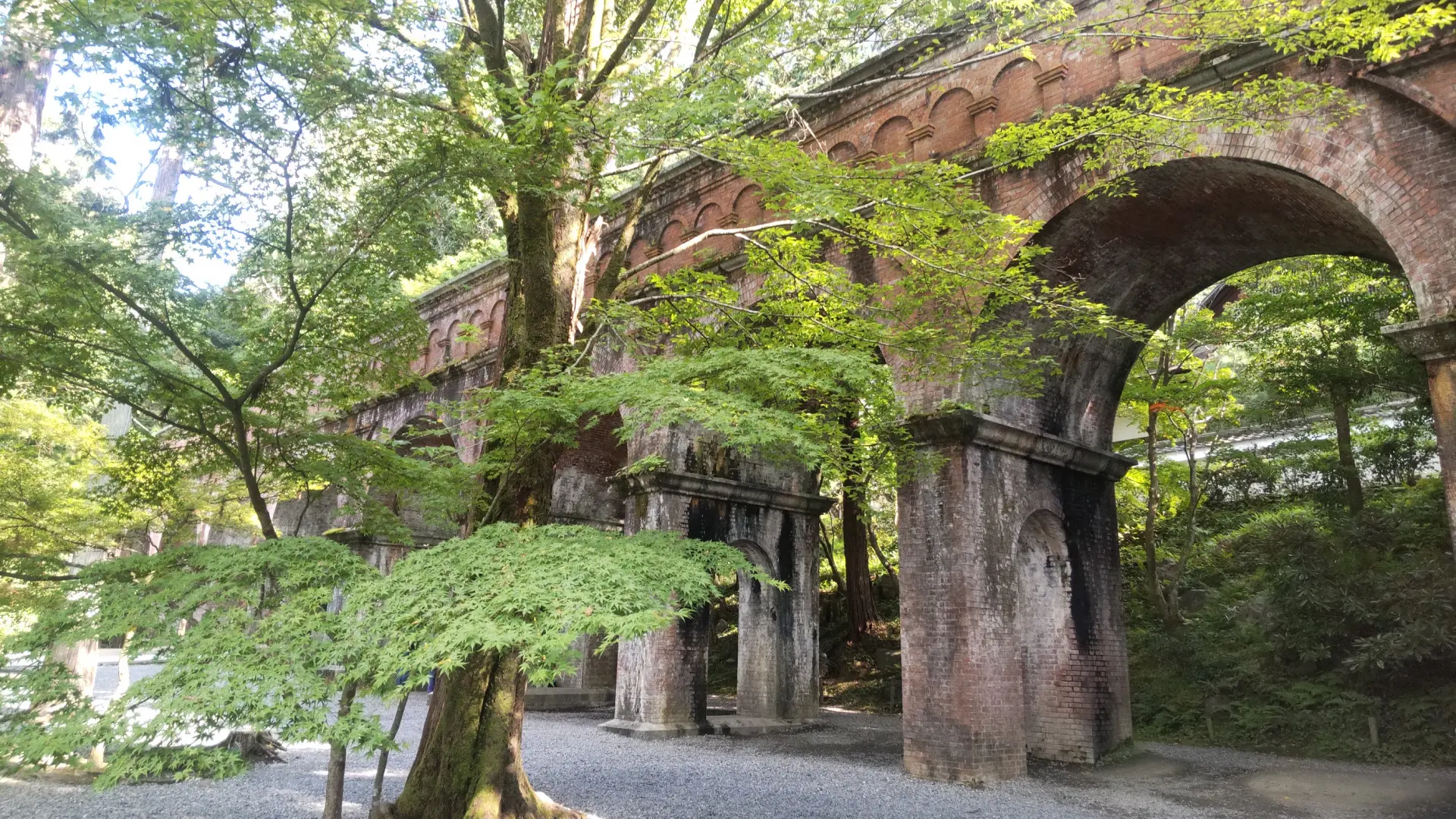 桜・紅葉の名刹と明治京都の産業復興にかけた地を散策 （京都府・京都市）