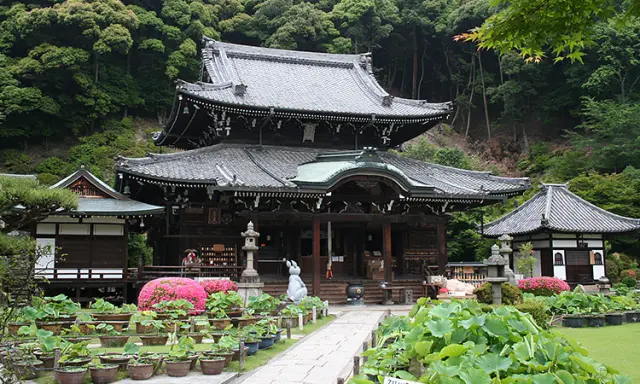 Mimurotoji Temple