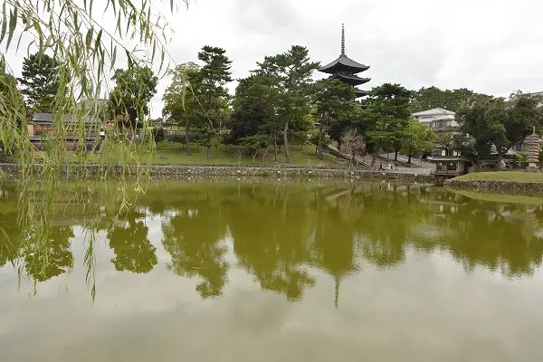 猿沢池