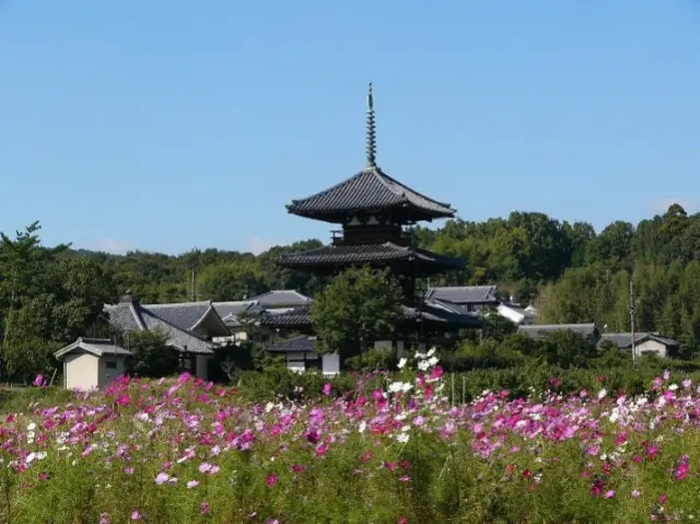 Tour of a temple associated with Prince Shotoku and the Fujinoki burial mound (Ikaruga Town, Nara Prefecture)