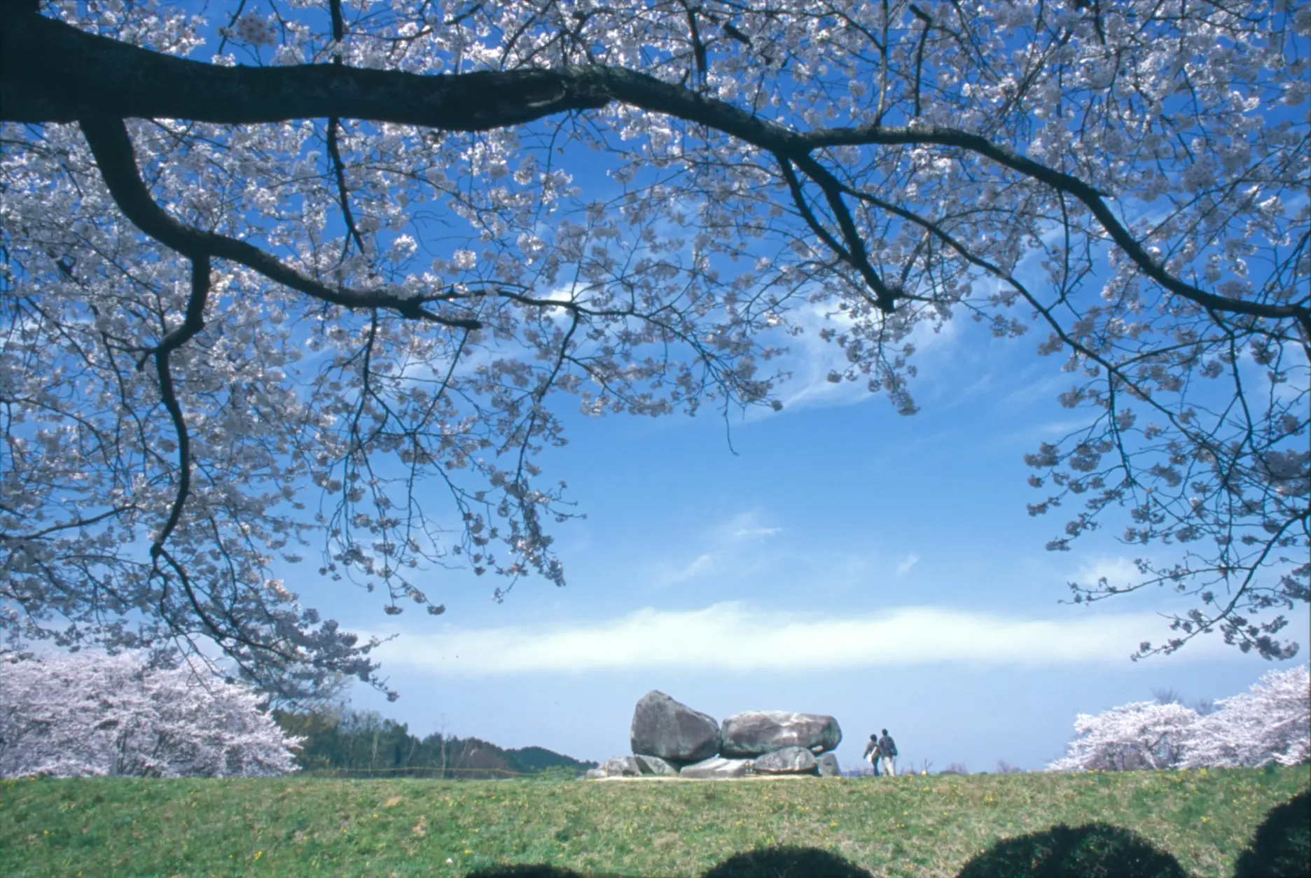 飛鳥の石造物をめぐる（奈良県・明日香村）