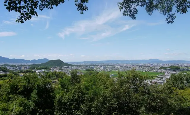 甘樫丘