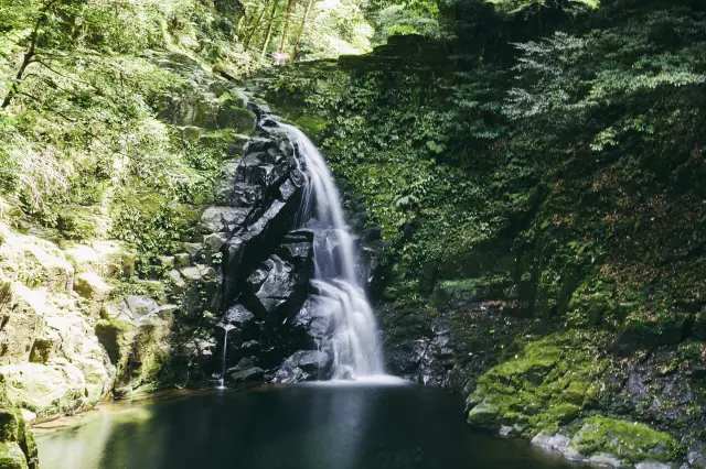 Akame 48 Waterfalls is a national park.
At the foot of the waterfalls, soft underground water is used as brewing water for sake.
