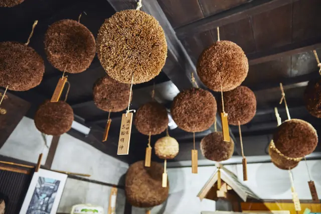 The cedar ball is a gift for the god of sake, Miwa Myojin. We display it in the entrance every year.