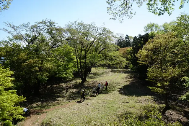 Odani Castle