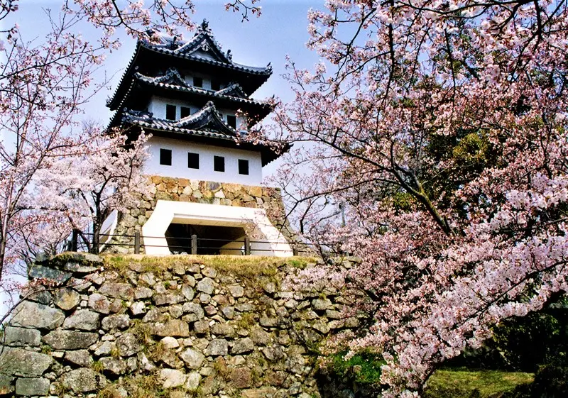 Sumoto Castle