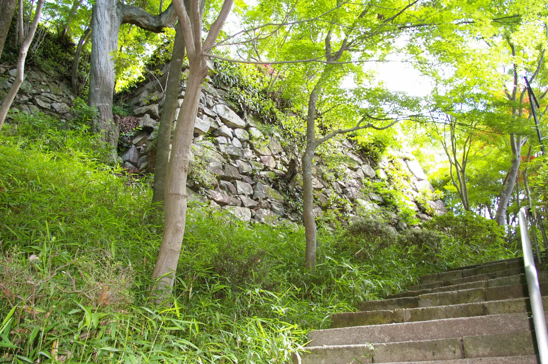 八幡山城