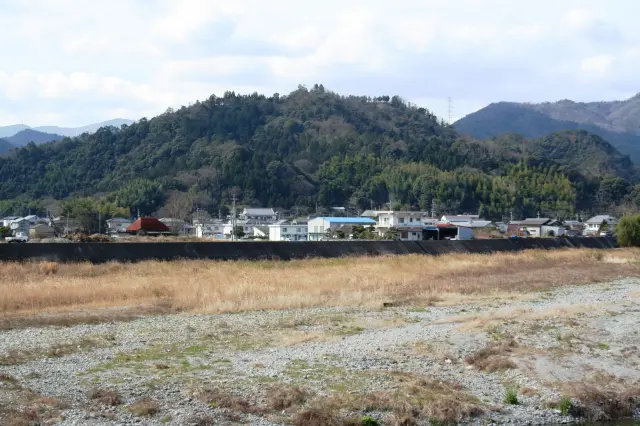 ©徳島市教育委員会