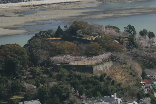 Shingu Castle