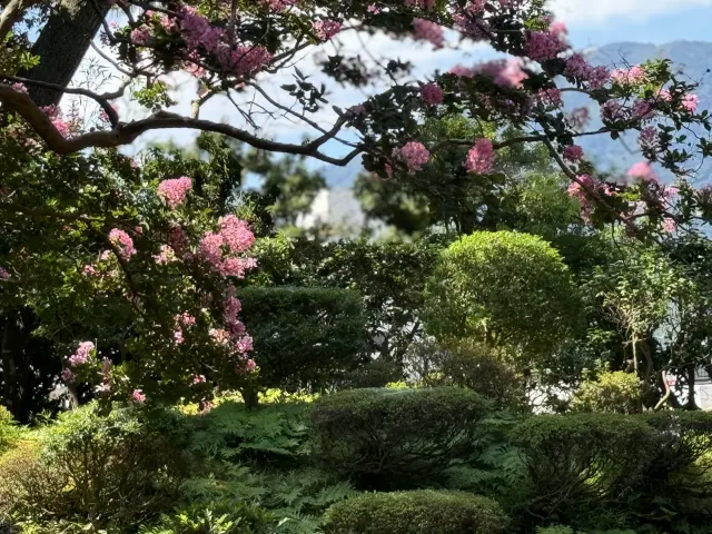 夏の庭園