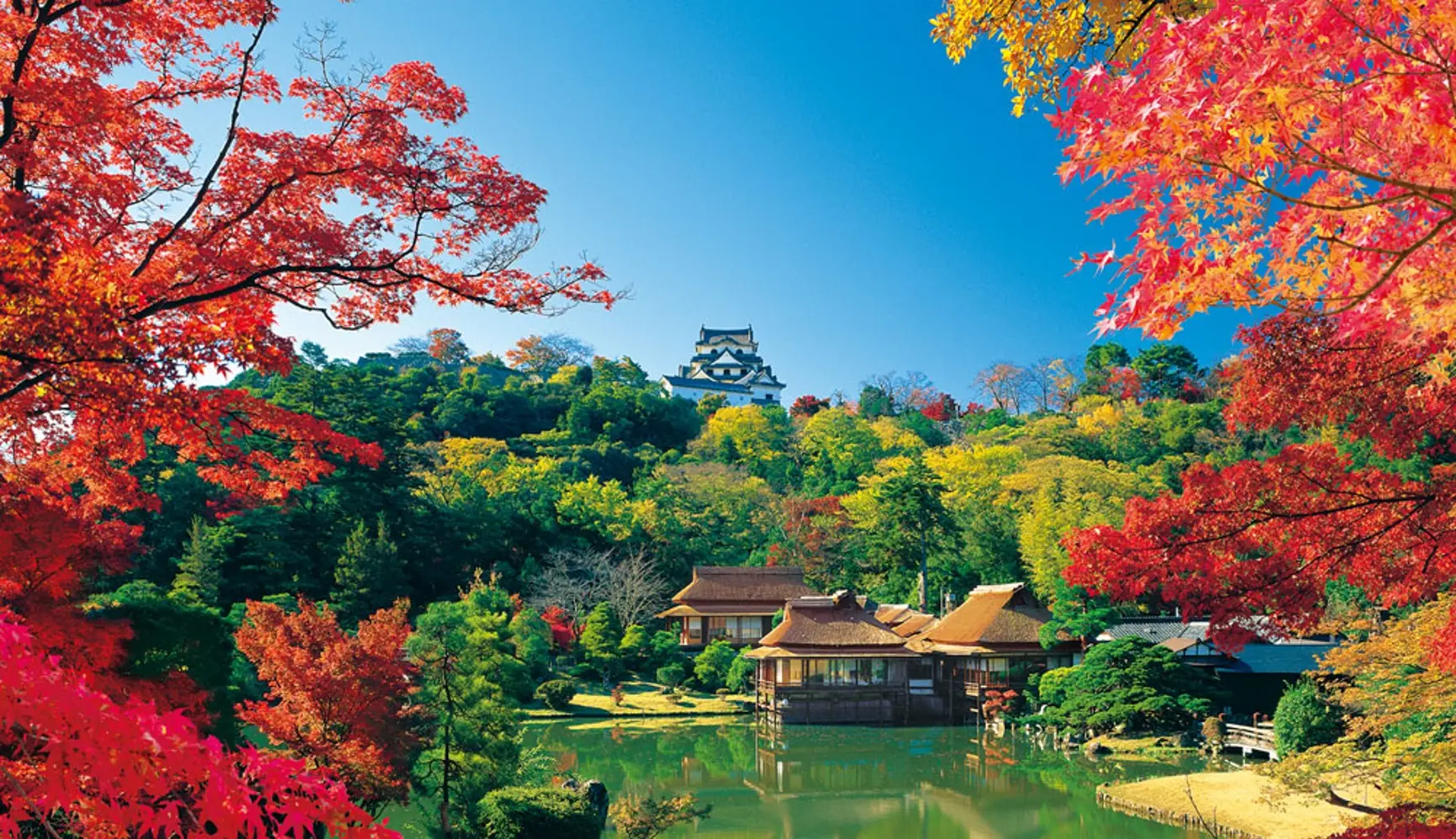 A view of Hikone Castle from Genkyu-en Garden. The view is spectacular during the autumn foliage season.