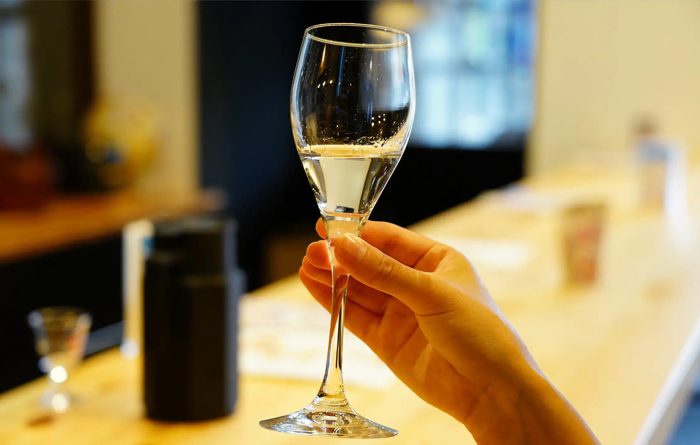 Fukui's Bounty and Kyoto Cuisine - A Journey Tracing the Flavors of the Wakasa Kaido -