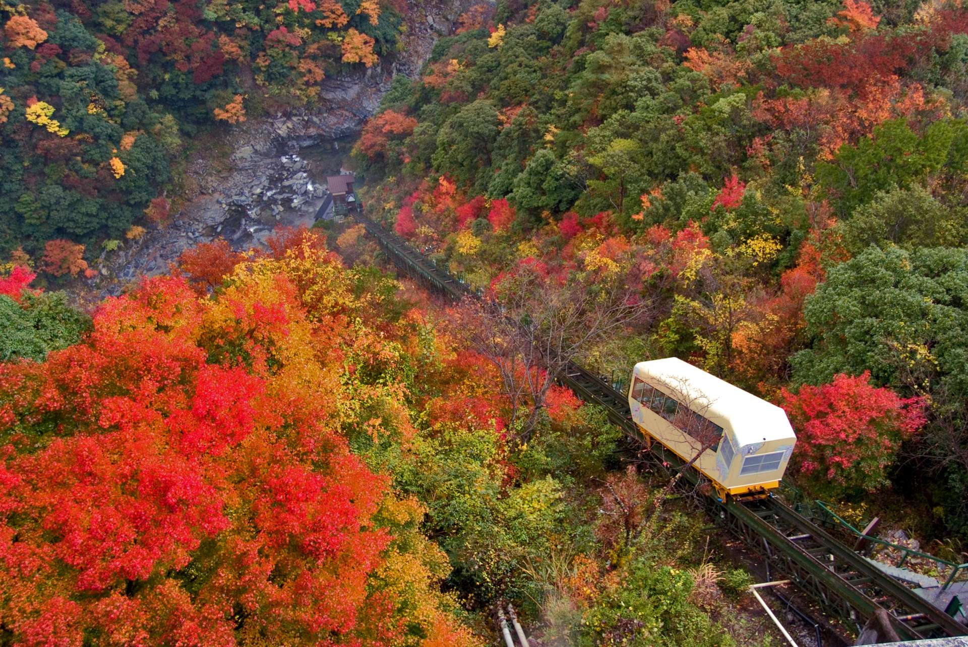 四季折々に魅力ある景色のなかでも、紅葉の時期は別格!