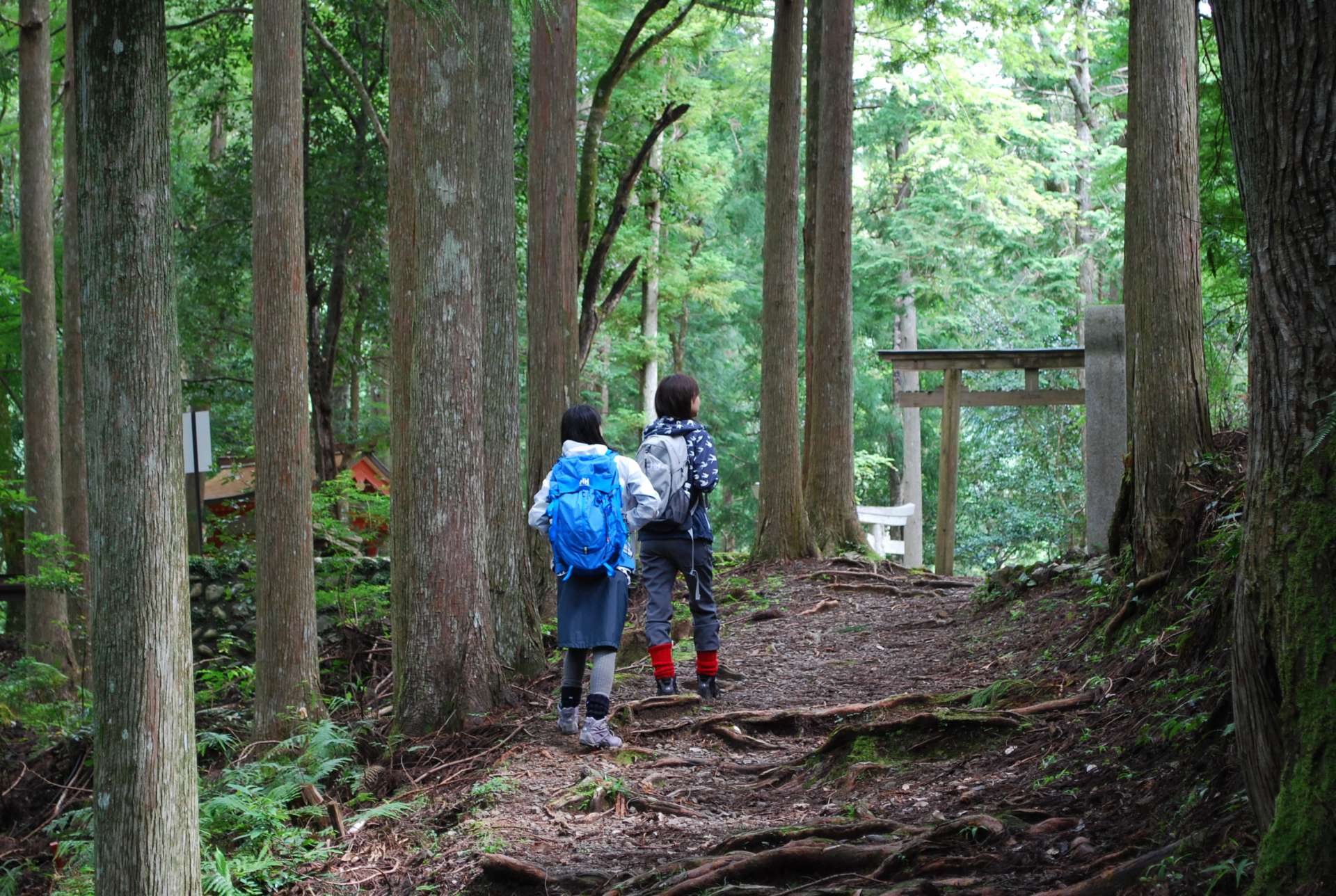 中辺路には、王子社跡など熊野古道ならではの景色がたくさん!
©和歌山県観光連盟