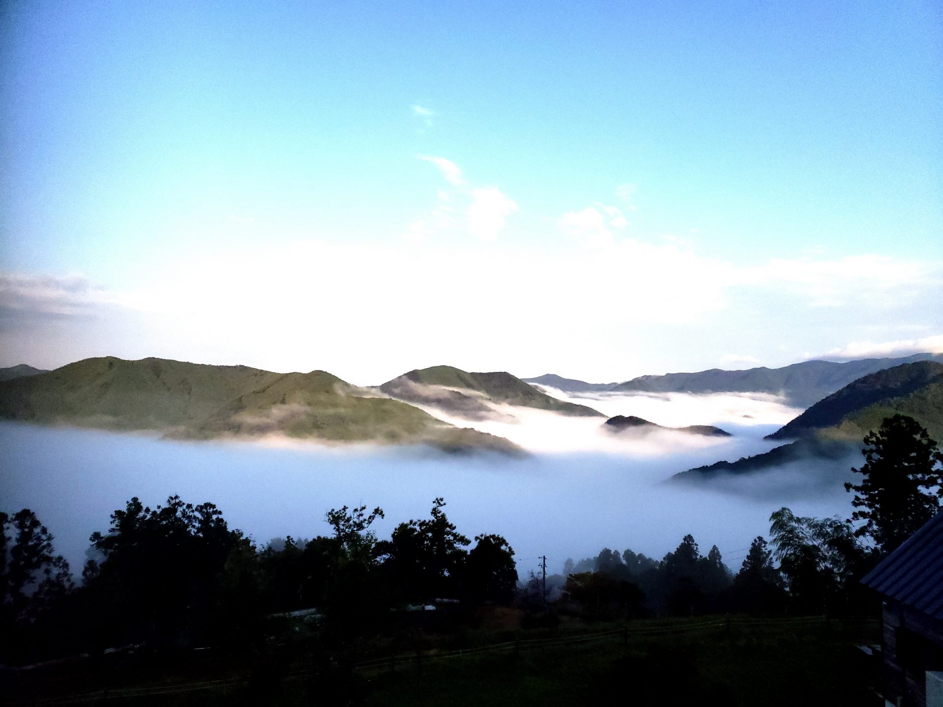 「高原」から見る雲海。昼夜の寒暖さが大きいときに出やすいそう。
©和歌山県観光連盟